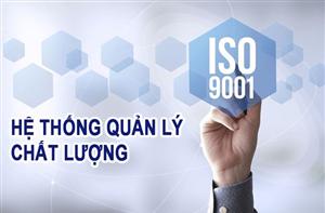 Kiện toàn Ban Chỉ đạo ISO theo tiêu chuẩn TCVN ISO 9001:2015